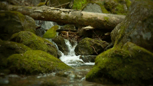 Bestgifs Makeagif Com The Best Animated Gifs On The Internet Bestgifs Makeagif Com The Best Animated Gifs On The Internet