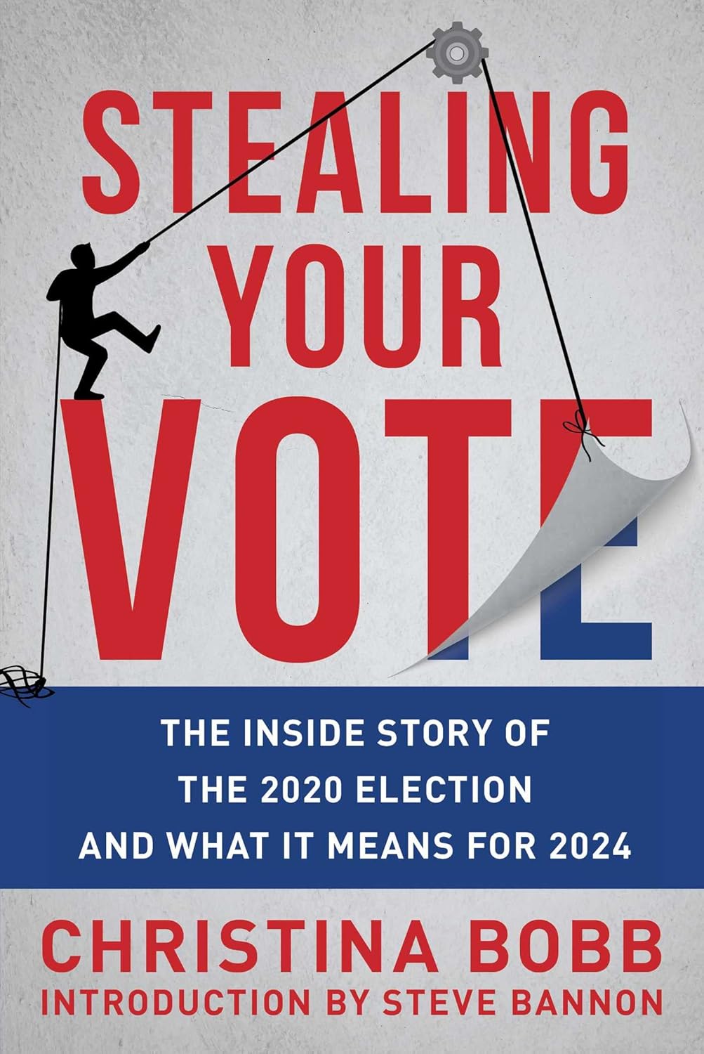 Stealing Your Vote The Inside Story Of The 2020 Election And What It